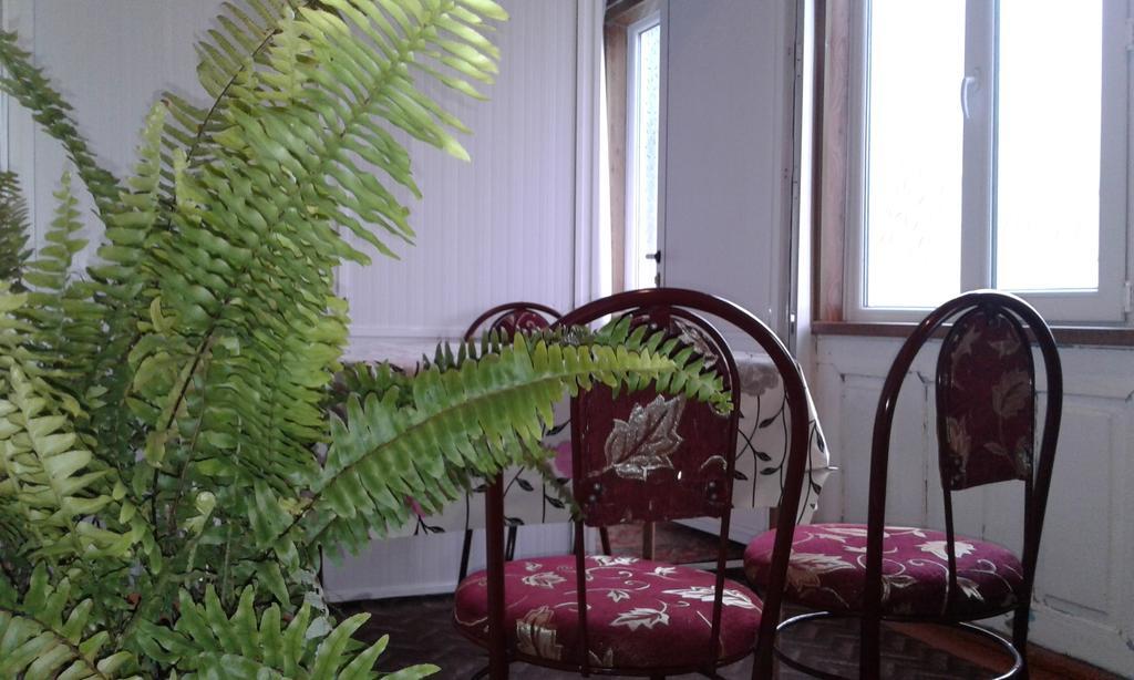 Ilgar'S Hostel Şǝki Екстериор снимка